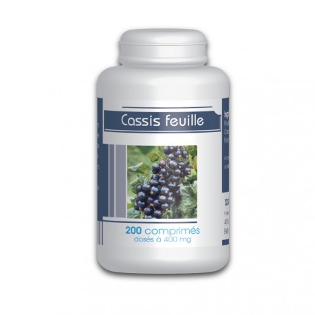 Cassis feuille - 200 comprimés à 400 mg