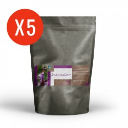 Desmodium  - 5 Kg de poudre