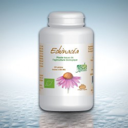 Echinacéa Bio -200 gélules Végétales