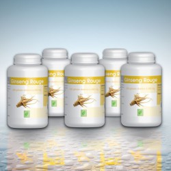 5 piluliers de Ginseng Rouge à 300 mg