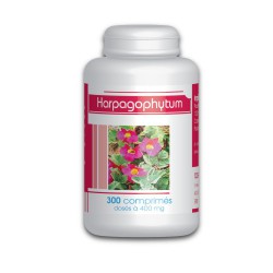 Harpagophytum - 300 comprimés à 400 mg
