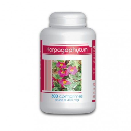 Harpagophytum - 300 comprimés à 400 mg