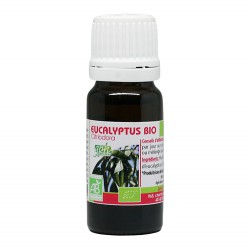 Huile Essentielle de Eucalyptus Citriodora Bio 10ml