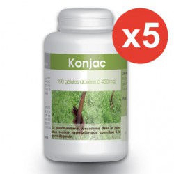 Konjac 5x200 gélules 450 mg