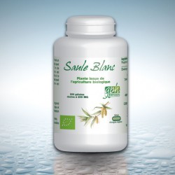 Saule Blanc Bio - 200 gélules végétales