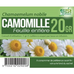 Camomille Romaine