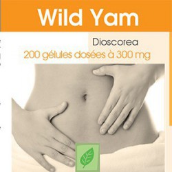 Wild Yam - 200 gélules classiques