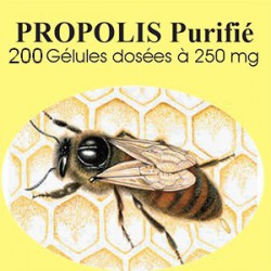 Propolis  - 200 gelules