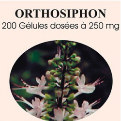 Orthosiphon - 200 gelules classiques