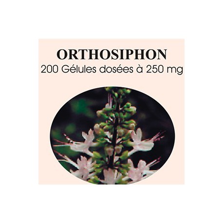 Orthosiphon - 200 gelules classiques