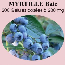 Myrtille Baies - 200 gélules