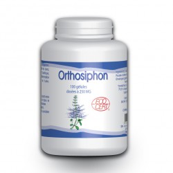 Orthosiphon Bio - 100 gélules à 250 mg