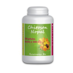 Chitosan-Nopal - 200 gelules dosées 300 mg