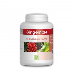 Gingembre -  280 mg - 100 gélules