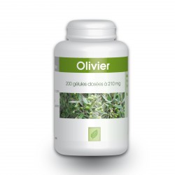 Olivier Feuille - 210 mg - 200 gélules