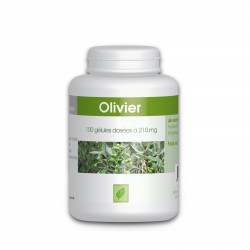 Olivier feuille - 210 mg - 100 gélules