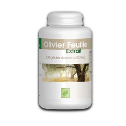 Olivier extrait sec de feuille - 500 mg - 200 gélules