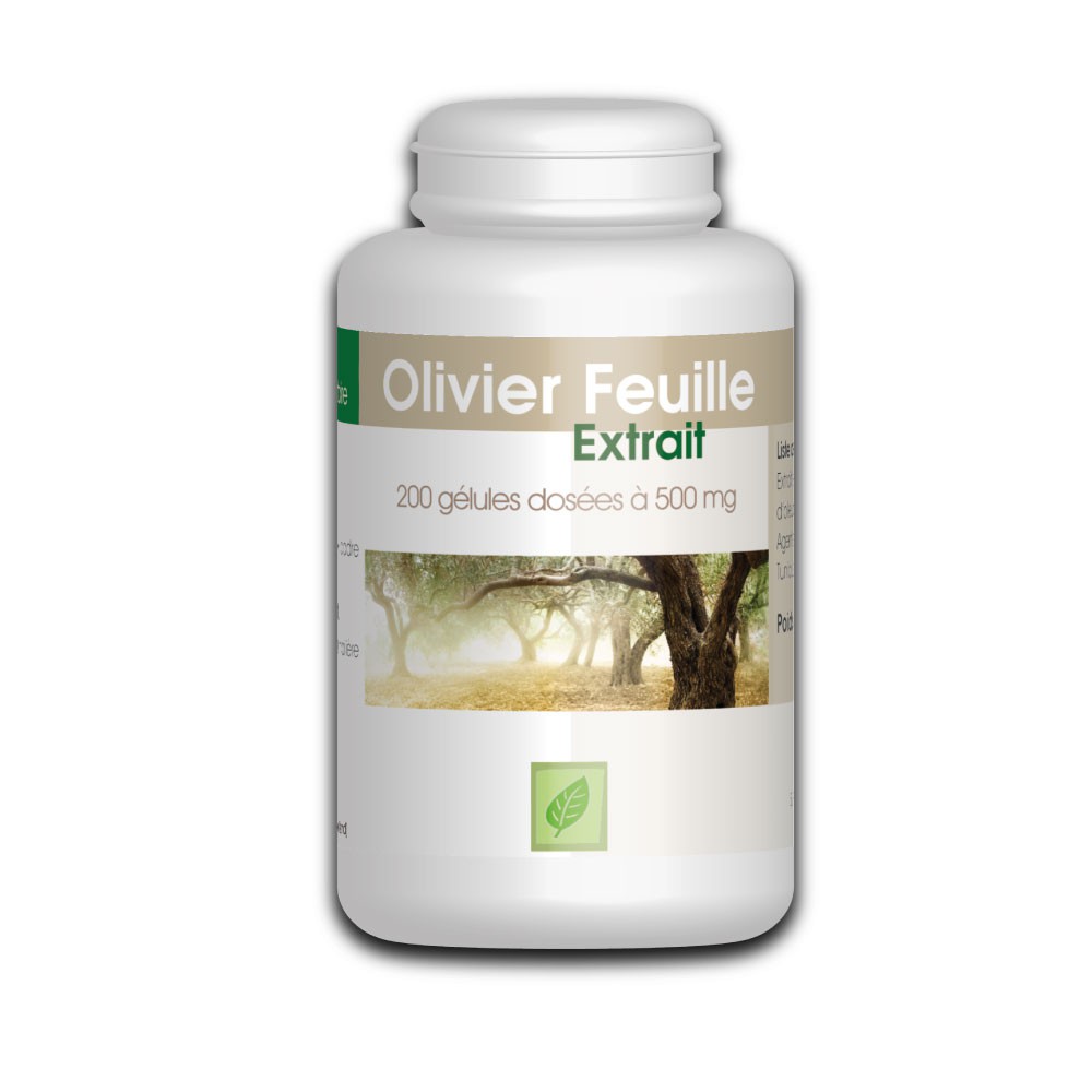 Olivier extrait de feuille - 200 gélules à 500 mg