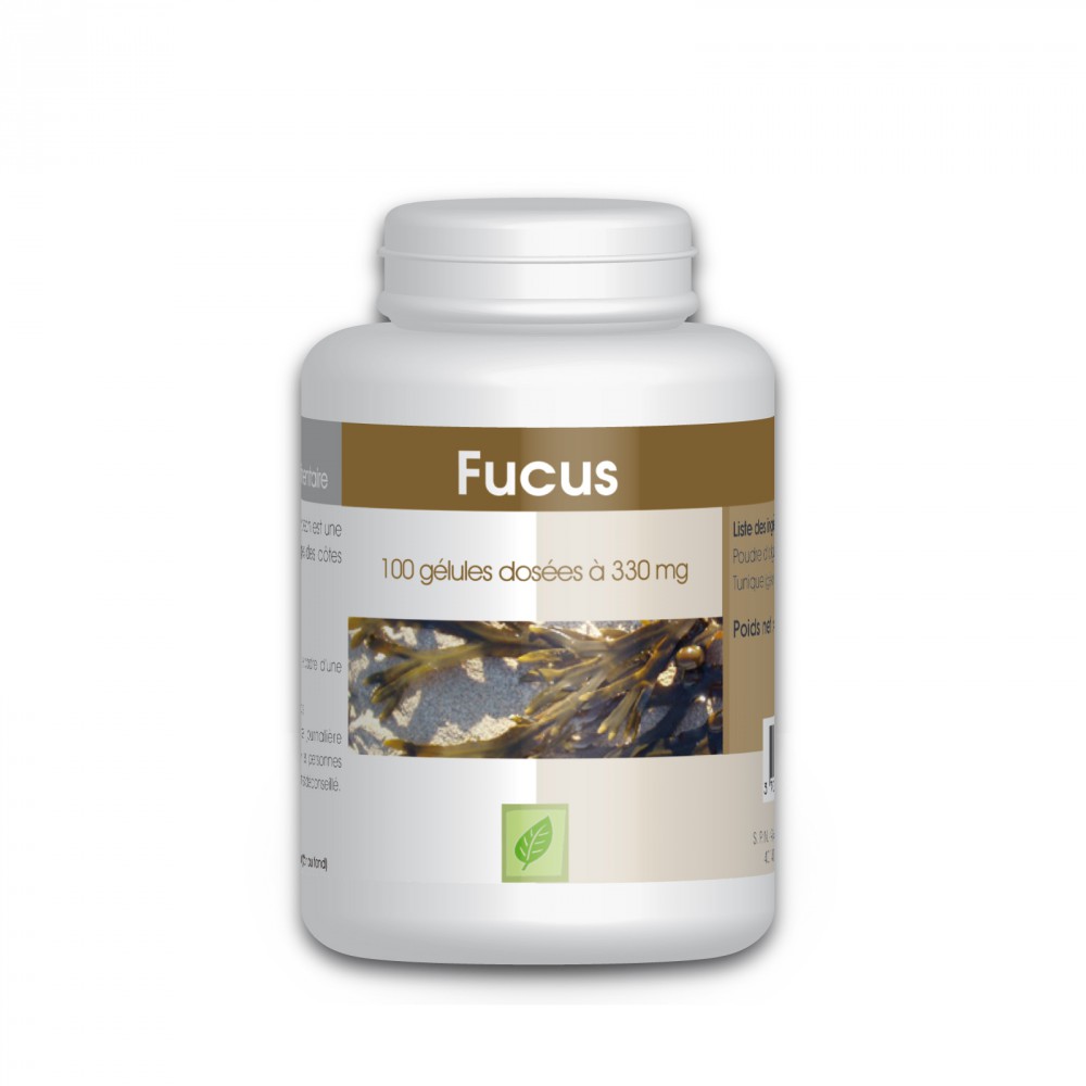 Algue Fucus - 330 mg - 100 gélules 