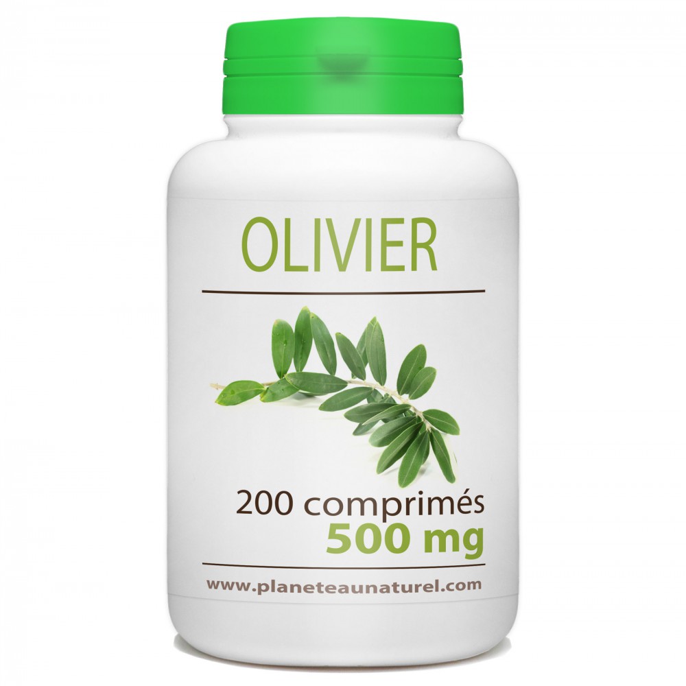 Olivier - 500 mg - 200 comprimés