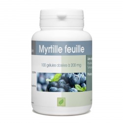 Myrtille Feuille - 100 gélules à 200 mg