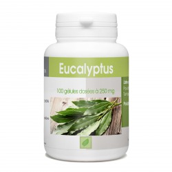 Eucalyptus - 100 gélules à 250 mg