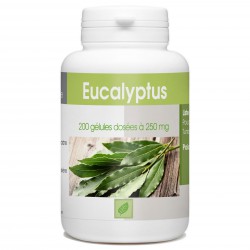Eucalyptus - 200 gélules à 250 mg