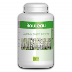Bouleau écorce - 200 gélules à 230 mg