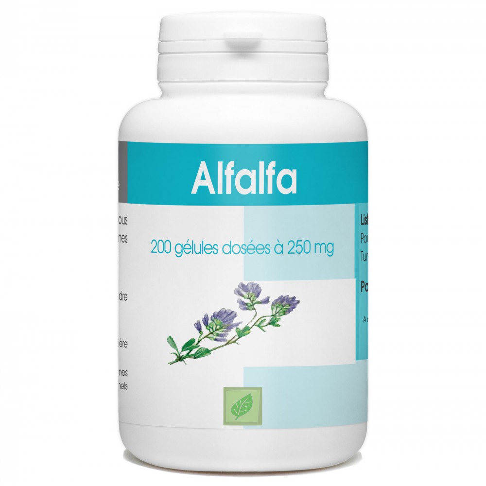 Alfalfa - 200 gélules à 250 mg