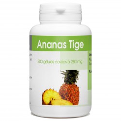 Ananas - 200 gélules à 280 mg