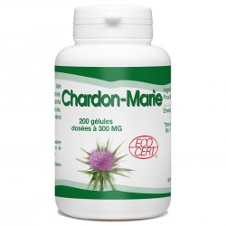 Chardon Marie bio - 200 gélules à 300 mg