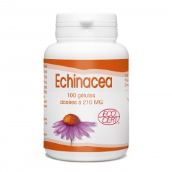 Echinacéa Bio - 100 gélules à 210 mg