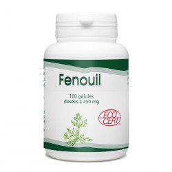 Fenouil Bio - 250 mg- 100 gélules
