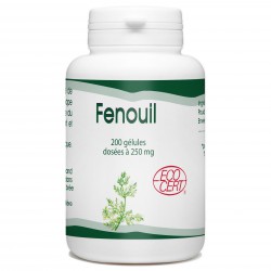 Fenouil Bio - 250 mg - 200 gélules 