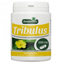 Tribulus Terrestris - 200 gélules à 500 mg