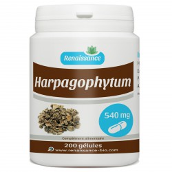 HARPAGOPHYTUM 200 gélules dosées à 540 mg