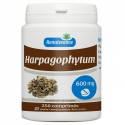 Harpagophytum - 600 mg - 250 comprimés