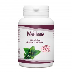 Mélisse Bio - 250 mg - 100 gélules