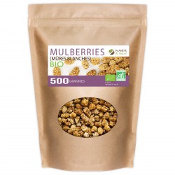 Mulberries (Mûres Blanches) Bio - 500g