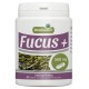 Fucus - 180 gelules dosées 600 mg
