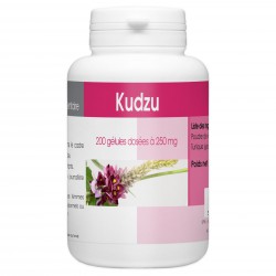 Kudzu - 250 mg - 200 gélules