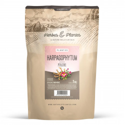 Harpagophytum - poudre 1 Kg