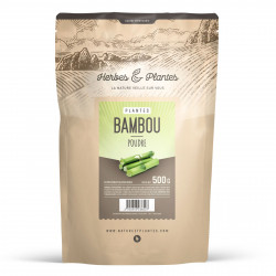 Bambou Tabashir en poudre 500 gr