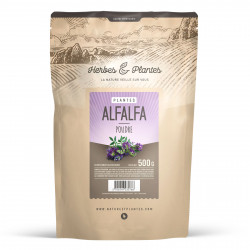 Alfalfa en poudre 500 gr