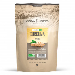 Curcuma Bio - 500g de poudre