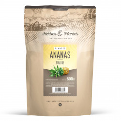 Tige Ananas en poudre 500 gr