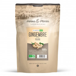 Gingembre Bio - 500 gr de poudre