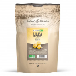 Maca poudre - 1 kg