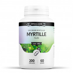 Baie de Myrtille Bio - 250 mg - 200 gélules