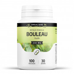 Bouleau écorce- 100 gélules à 230 mg